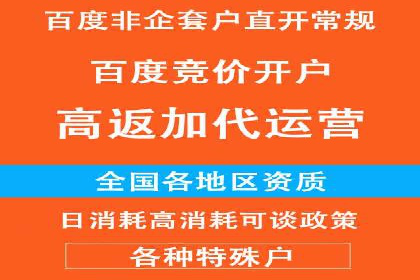 竞价排名案例：跨平台推广效果分析